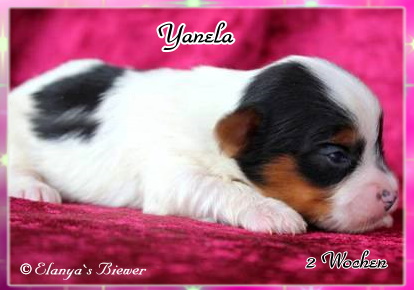 Yanela2W-3.jpg